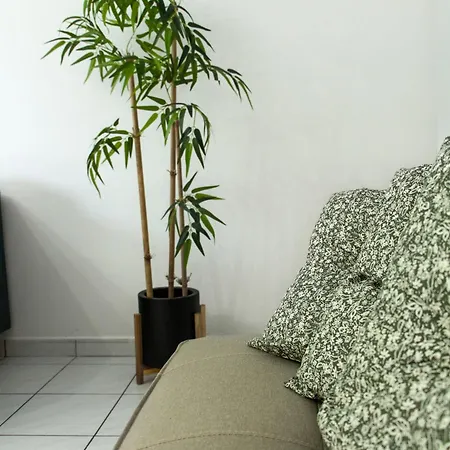 Elly's 纳夫普利翁